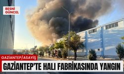 Gaziantep’te halı fabrikasında yangın