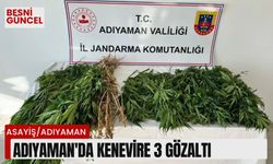 Adıyaman'da kenevire 3 gözaltı