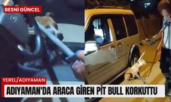 Adıyaman'da Araca Giren Pit Bull Korkuttu