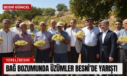 Besni’de Bağ Bozumu Renkli Görüntülere Sahne Oldu