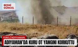 Adıyaman’da kuru ot yangını korkuttu