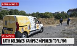 Fatih Belediyesi sahipsiz köpekleri topluyor