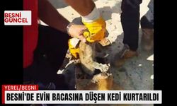 Besni'de evin bacasına düşen kedi kurtarıldı