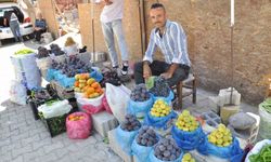 Hasadı başlayan incir tezgahlarda yerini aldı