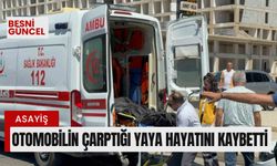 Otomobilin çarptığı yaya hayatını kaybetti