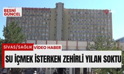 Su içmek isterken zehirli yılan soktu