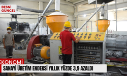 Sanayi üretim endeksi yıllık yüzde 3,9 azaldı