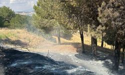 Adıyaman'da çıkan yangın konteyner kentte sıçramadan söndürüldü