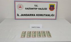 Gaziantep'te piyasaya sahte dolar sürmek isteyen şüpheli yakalandı