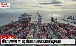 TÜİK temmuz ayı dış ticaret endekslerini açıkladı