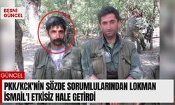 PKK/KCK'nın sözde sorumlularından Lokman İsmail'i etkisiz hale getirdi