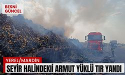 Seyir halindeki armut yüklü tır yandı