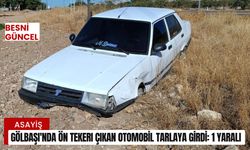 Gölbaşı'nda Ön tekeri Çıkan Otomobil Tarlaya Girdi: 1 Yaralı