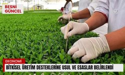 Bitkisel üretim desteklerine usul ve esaslar belirlendi