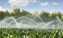 Tarıma Dayalı Yatırımlara Süre Uzatımı Kararı