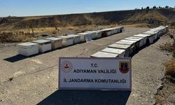 Adıyaman'da hırsızlık şüphelisi yakalandı