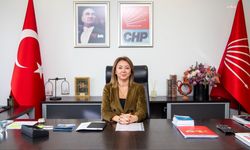 CHP'li Çiftci'den Ahmet Özer gözaltısına tepki