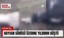 Hayvan sürüsü üzerine yıldırım düştü