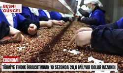 Türkiye fındık ihracatından 10 sezonda 20,8 milyar dolar kazandı