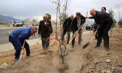 Şırnak Üniversitesi kampüsüne 1400 fidan dikildi