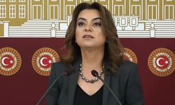 Gülistan Kılıç Koçyiğit’ten Yenidoğan Davası eleştirisi