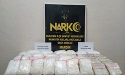 Mardin'de 56 kilo 200 gram uyuşturucu ele geçirildi