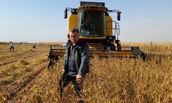 Şanlıurfa'da soya fasulyesi hasadı yapıldı