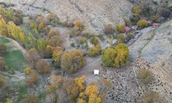 Şırnak'ta güz renkli doğa dronla görüntülendi