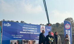 Orhangazi'ye Sokak Hayvanları Rehabilitasyon Merkezi