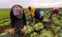 Adıyaman Sulama Birliği'nden 'Tarım Kart' uygulaması başladı