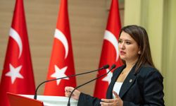 CHP’li Gökçe Gökçen’den Sinan Ateş soruşturmasındaki takipsizlik kararına tepki 