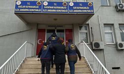 Diyarbakır'da Jandarma'dan suç örgütlerine darbe