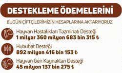 Hububat ve Hayvancılık Desteklemeleri Hesaplara Yatırılıyor