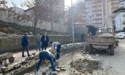 Sason Belediye Başkanı Demir yol bakım ve onarım çalışmalarını inceledi