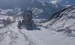 Şırnak'ta kar nedeniyle kapanan 9 köy ulaşıma açıldı