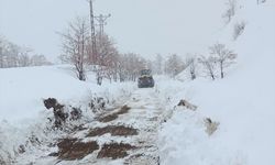 Kar nedeniyle 360 köy ve mezra yolu ulaşıma kapandı