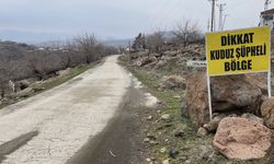 Şanlıurfa'da sahipsiz köpeğin kadına saldırdı