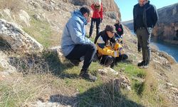 Besni'ye gelen araştırma ekibi sırtlanları inceliyor