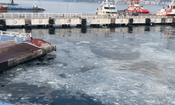 Çanakkale sahillerinde müsilaj görülmeye başlandı