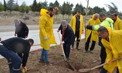 Besni Belediyesi'nden Orta Refüj Fidan Dikimi