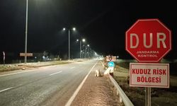 Besni’de kuduz karantinası  - Videolu Haber