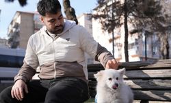 Diyarbakır'da ağzı ve ayakları bağlanan köpek hayvansever genç sayesinde kurtarıldı