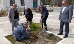 Kıymaz: 'Sahabeye Hizmet Şereftir'