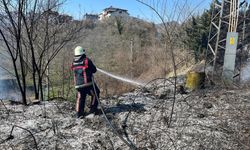 Ordu’da Bahçe ve Anız Yangınları Başladı: İtfaiyeden Uyarı