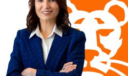 ING Türkiye'de CIO görevine Çiğdem İltemir Carino getirilecek