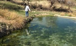 Adıyaman'da 960 yerde sinek mücadelesi başladı