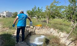 Adıyaman'da sineklerle mücadele başladı