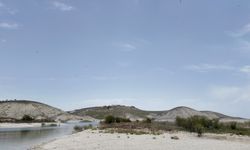 Adıyaman'ın martılara özel adası