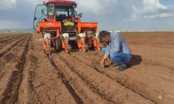 Araban'da pamuk ekimine başlandı