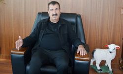 Başkan Çelik: Meralarımız kuzu ve oğlaklarımızla şenlenecek"